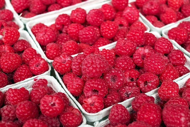Nema kupaca za domaće maline