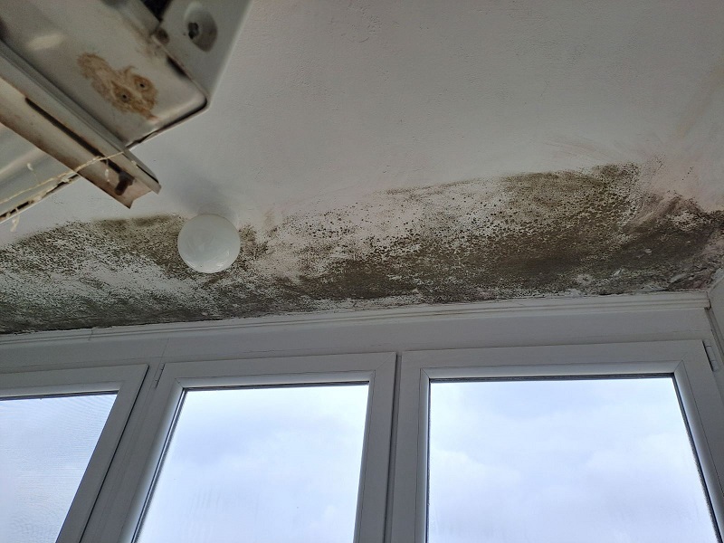 Stanari ne mogu da se dogovore oko održavanja stubišta, rasvjete, popravki lifta... /FOTO/