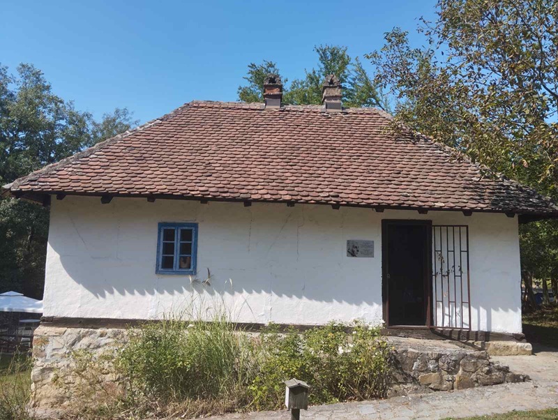 Studentkinja iz Bijeljine na Vukovom saboru: Zadatak težak i složen, ali sve se može kad radite to što volite (FOTO)