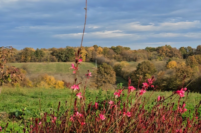 Za sve posjetioce besplatno jahanje konja: Vikend u Čičinom sokačetu kakav ste oduvijek željeli 