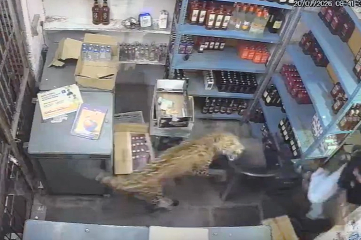 Leopard upao u prodavnicu i napao prodavača, dramatičan snimak obišao svijet (VIDEO)