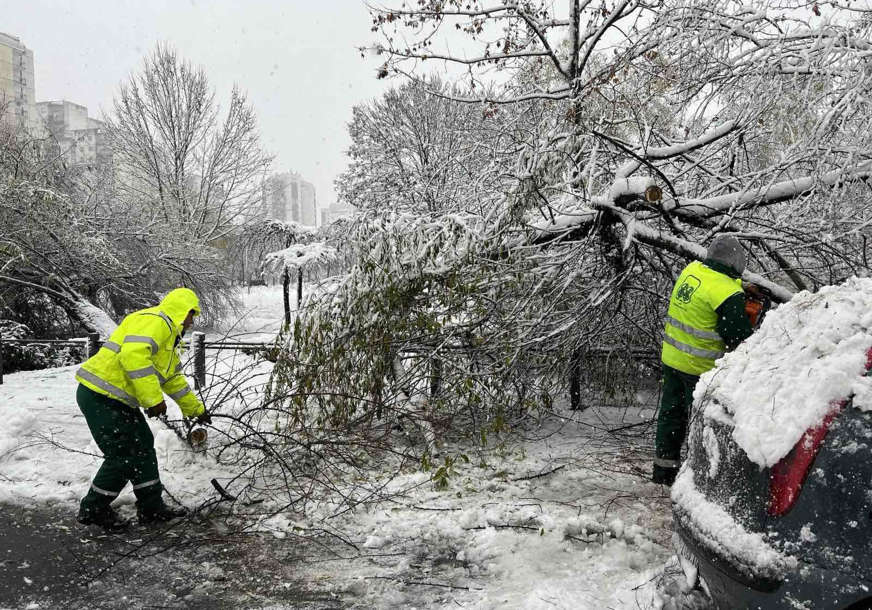 SNJEŽNO NEVRIJEME U Beogradu palo više od 300 stabala i 40 bandera