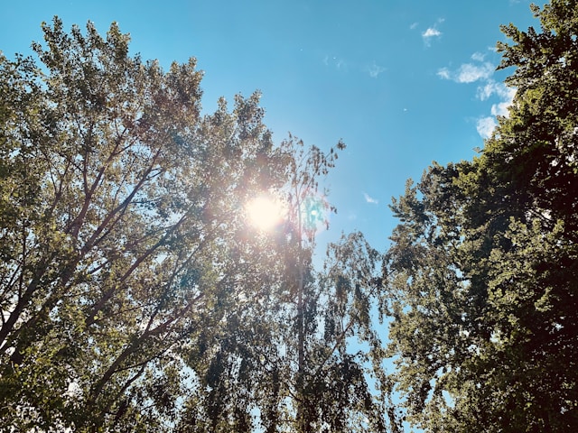 Predah od kiše: U Srpskoj do kraja sedmice sunčano i toplije