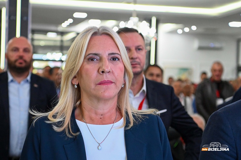 Cvijanović: Komšić u Savjetu bezbjednosti govorio u svoje ime