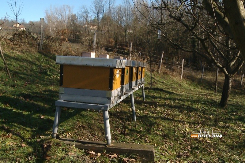 Majevica ima više od 4.000 pčelinjih društava i zaštićen med:  Trud i rad daju rezultate (FOTO)