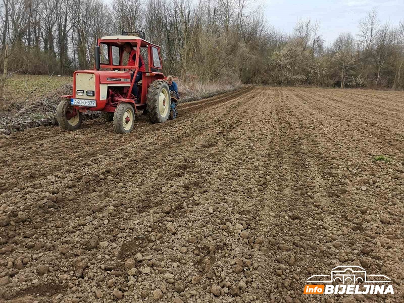 Semberski povrtari optimistični: U punom jeku sjetva ranog povrća i krompira, đubrivo jeftinije, otkupna cijena veća