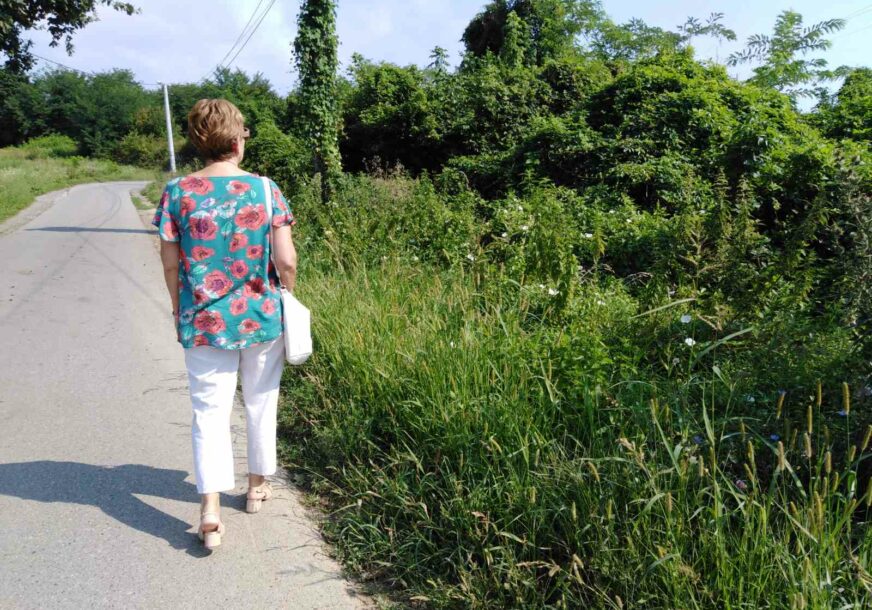 Zabilježen porast POLENA AMBROZIJE: Osobe sklone alergijama pojačajte brigu o svom zdravlju