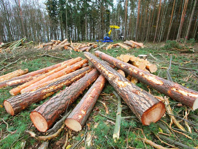 Kreditom od 10 miliona čiste dugove “Šuma Republike Srpske”