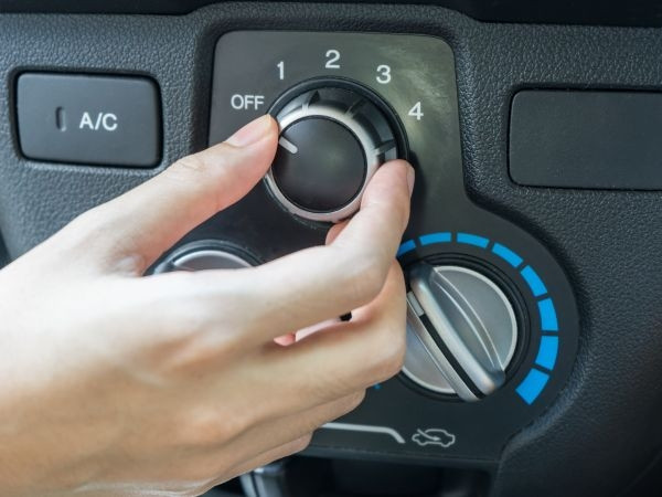 Koliko vremena je potrebno da vrućina u automobilu postane smrtonosna?