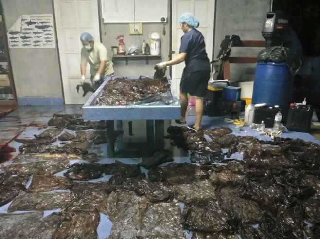 Tajland: Kit uginuo zbog progutanih 80 vreća smeća