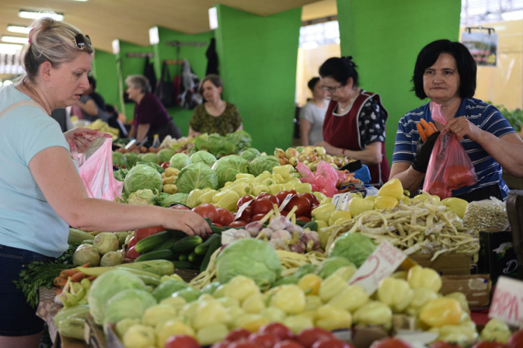 Kupus četiri puta skuplji nego lani