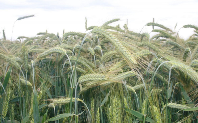 U srijedu u Bijeljini 