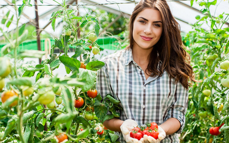 U toku javni poziv za dodjelu novca poljoprivrednicima
