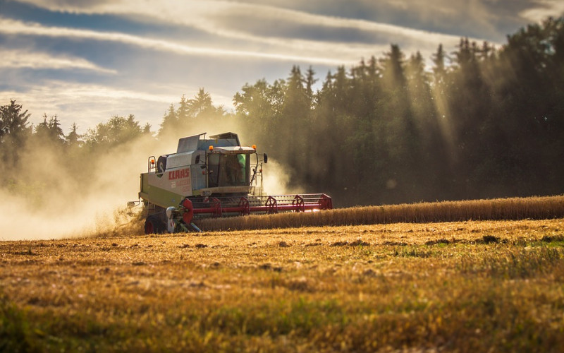 U Semberiji u toku žetva ječma