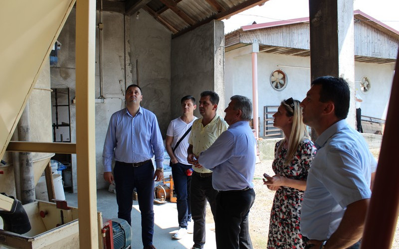 Proizvođačima svinja potrebna veća podrška i zaštita