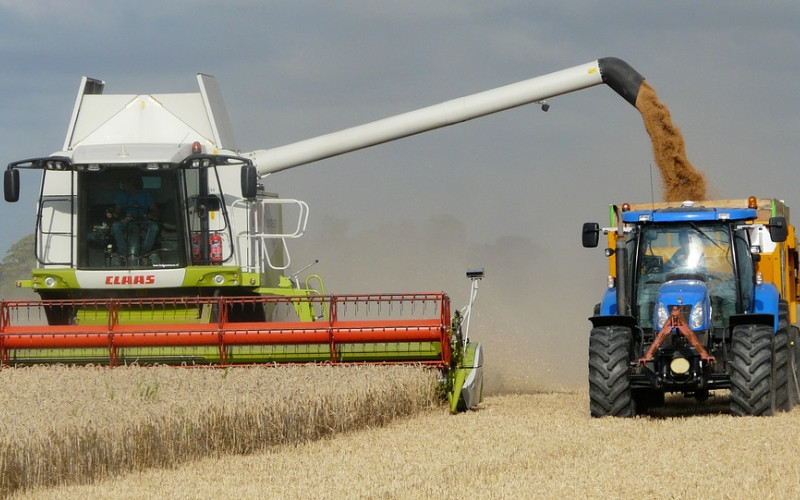 Počela žetva, a cijene još nema