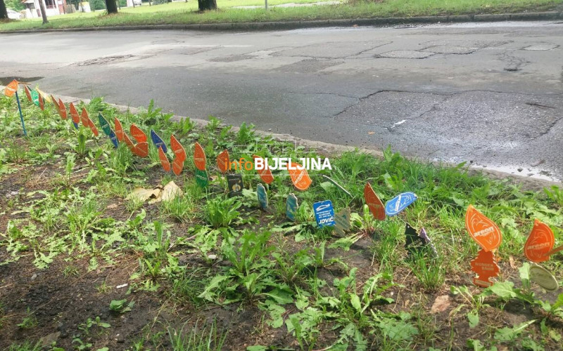 Bijeljina: Mirisnim jelkicama tjera smrad iz naselja /FOTO/