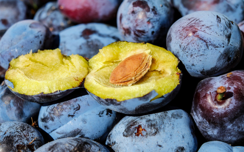 Šljiva na Majevici bogato rodila, ali voćari u problemu
