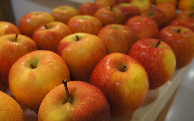 Jabuke iz BiH ponovo mogu u Rusiju