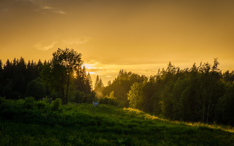 Sutra pretežno sunčano, na jugu mogući pljuskovi