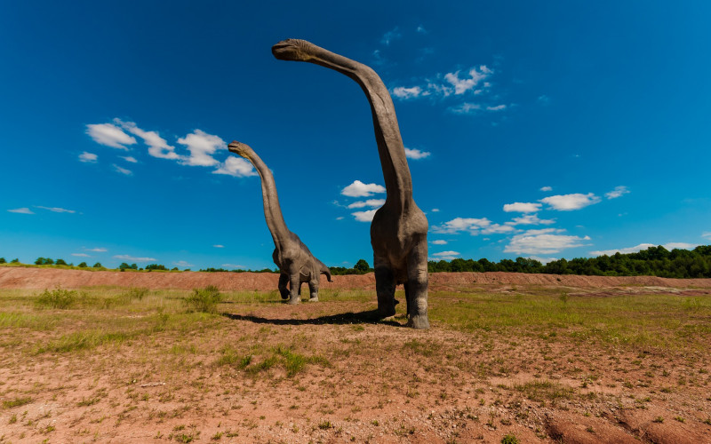 Veliko otkriće: Pronađena najveća noga dinosaurusa ikada