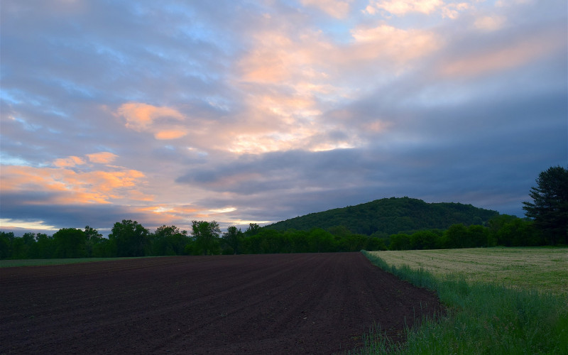 Danas sunčano i toplo, na istoku povremena kiša