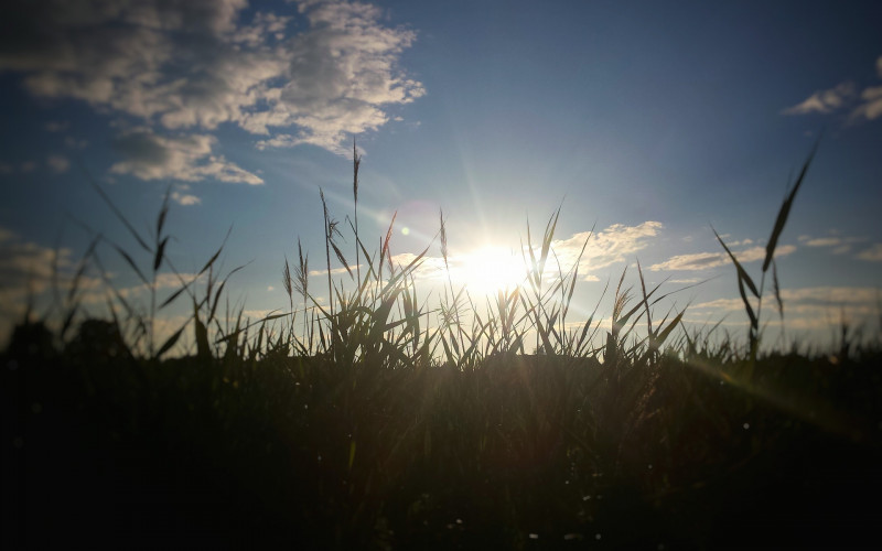Sutra pretežno sunčano uz umjerenu oblačnost