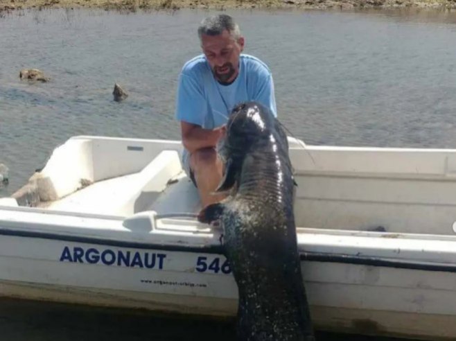 Trebinjac ulovio soma od 58 kilograma u Bilećkom jezeru