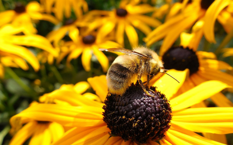 Danas veoma toplo i sparno