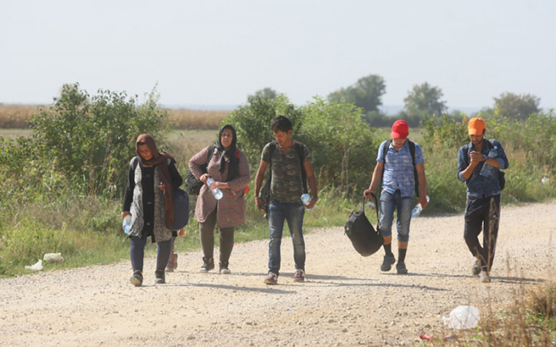 Pronađeno 28 ilegalnih migranata u Bijeljini