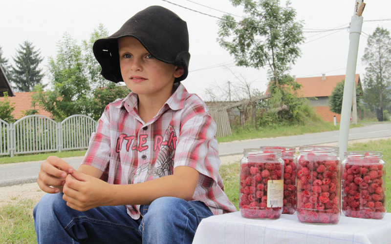I ove godine novac za školu zaradio trgujući malinama pored puta