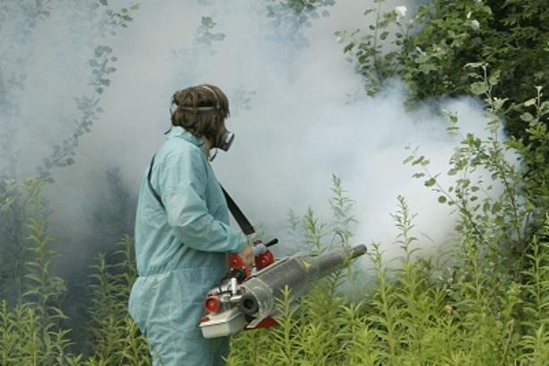 Naredna dva dana suzbijanje odraslih formi komaraca