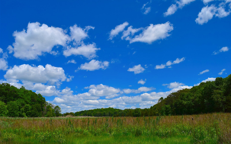 Tokom dana sunčano i toplo, uveče naoblačenje