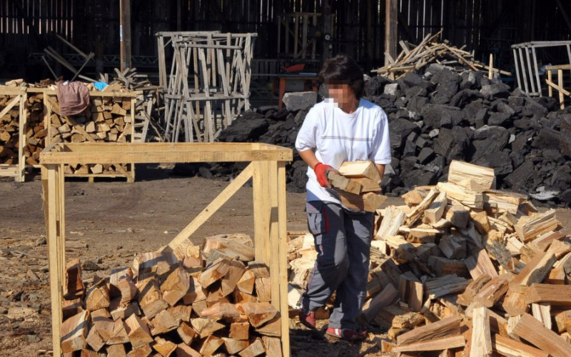Inspekcija na terenu zbog divljanja cijena drva za ogrev
