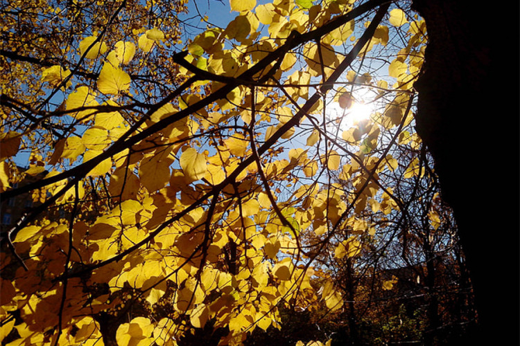 Do kraja godine temperatura iznad prosjeka
