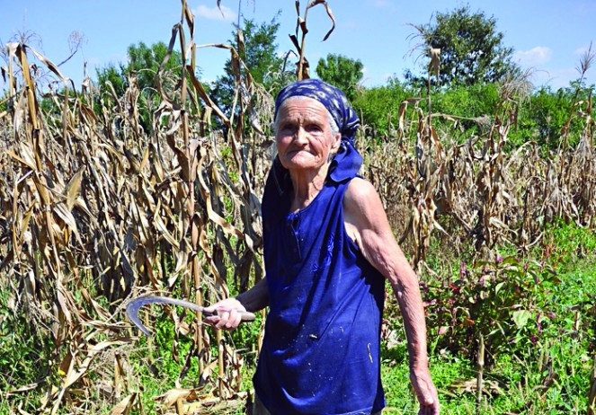 Starica koju ne gaze godine - Baka Cvijeta od 86 ljeta