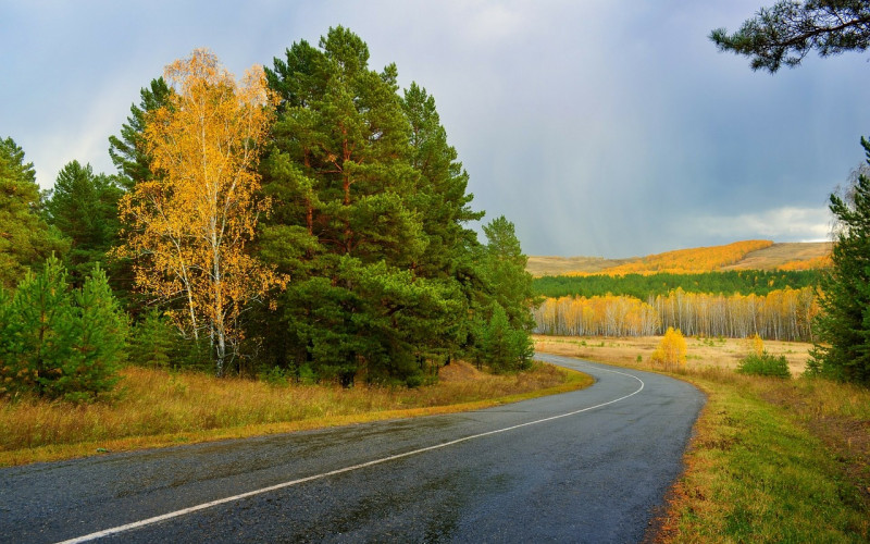 AMS: Mjestimično vlažni kolovozi