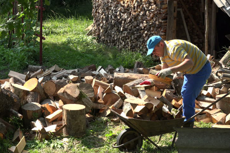 Paprene cijene drva i nestašica zaledili građane