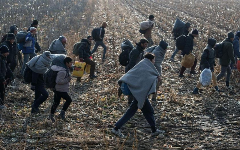 Grupa od 28 migranata otkrivena u kukuruzištu u Janji