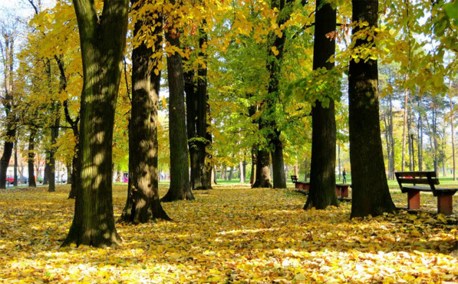 Miholjsko ljeto još samo do subote, u nedjelju pad temperature