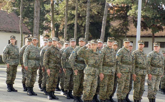 Svinjetinu pronašli u konzervama sa junetinom