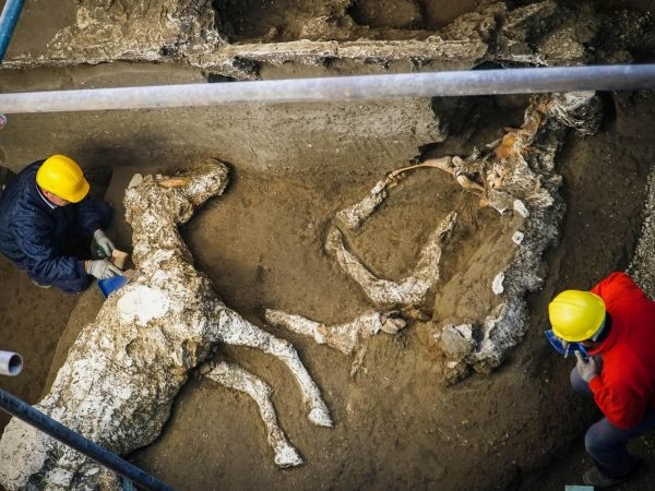 Arheolozi pronašli okamenjene ostatke konja kod Pompeje