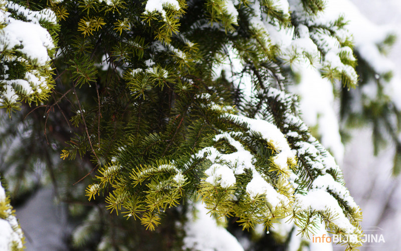Meteorolozi objavili vremensku prognozu za naredne dvije sedmice
