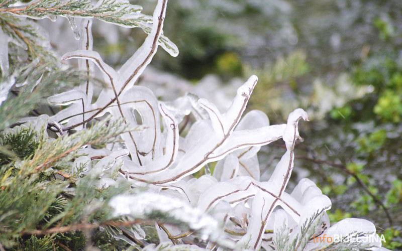 U mnogim mjestima sutra ledeni dan