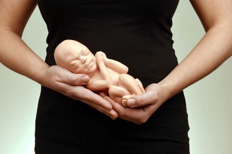 U RS 12.177 abortusa za šest godina