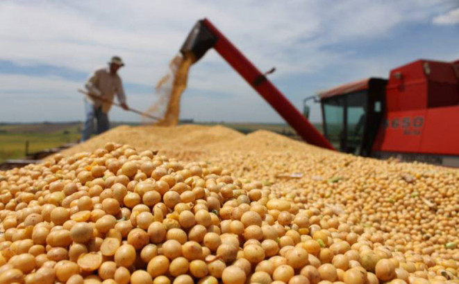 Upotreba GMO u RS čeka usvajanje zakona