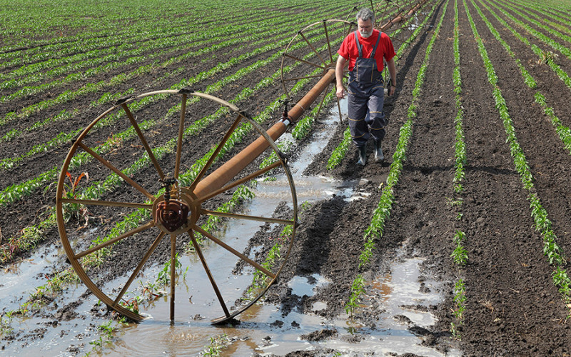 Ratari mogu da odahnu: Počinje izgradnja sistema za navodnjavanje