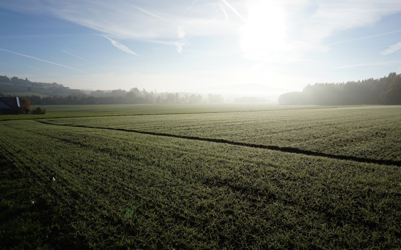 Danas sunčanije i toplo