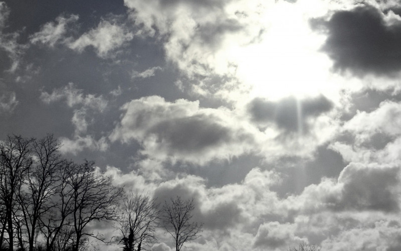 Danas sunčano i toplo