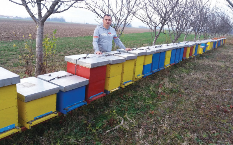 Bijeljina: Bratislav Lukić uspješan pčelarski stručnjak